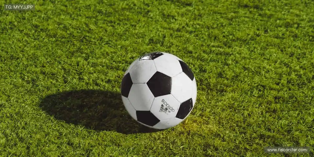 🚴 运动不止，探索无限可能，从一双专业跑鞋开始！👟